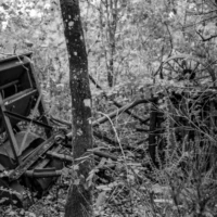 Sur les traces de Merlin Roadtrip en Bretagne : Broceliande © Myriam Muesser