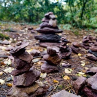 Sur les traces de Merlin Roadtrip en Bretagne : Broceliande © Myriam Muesser