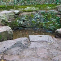 Sur les traces de Merlin Roadtrip en Bretagne : Broceliande © Myriam Muesser