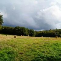 Sur les traces de Merlin Roadtrip en Bretagne : Broceliande © Myriam Muesser