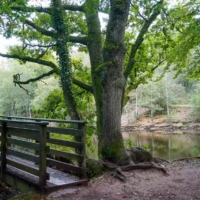 Sur les traces de Merlin Roadtrip en Bretagne : Broceliande © Myriam Muesser