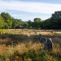 Roadtrip en Bretagne : Carnac © Myriam Muesser