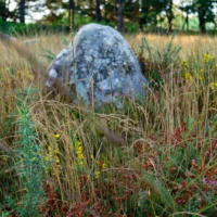 Roadtrip en Bretagne : Carnac © Myriam Muesser