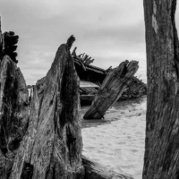 Roadtrip en Bretagne : Baie d'Etel © Myriam Muesser