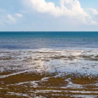 Roadtrip en Bretagne : Fouesnant © Myriam Muesser