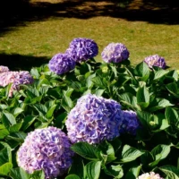 Roadtrip en Bretagne : Locronan © Myriam Muesser