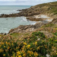 Roadtrip en Bretagne : Menez Dregan, trésor archéologique © Myriam Muesser