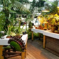 Roadtrip en Bretagne : Nantes © Myriam Muesser