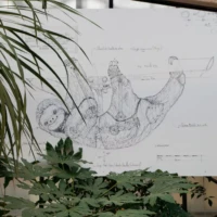 Roadtrip en Bretagne : Nantes © Myriam Muesser