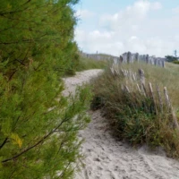 Roadtrip en Bretagne : Primelin © Myriam Muesser