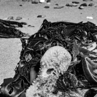 Roadtrip en Bretagne : Primelin © Myriam Muesser