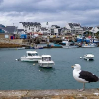 Roadtrip en Bretagne : Quiberon © Myriam Muesser