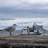 Roadtrip en Bretagne : Quiberon © Myriam Muesser