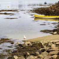 Roadtrip en Bretagne : Île de Saint Cado © Myriam Muesser